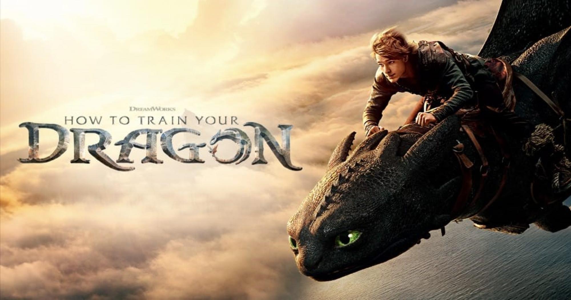 HOW TO TRAIN YOUR DRAGON BANNER 6